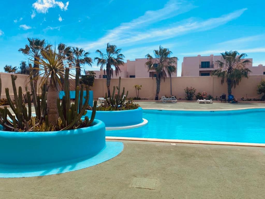 Surf And Chill Bungalow 70 Appartement Parque Holandes Buitenkant foto
