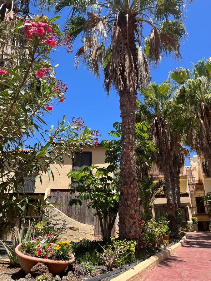 Surf And Chill Bungalow 70 Appartement Parque Holandes Buitenkant foto