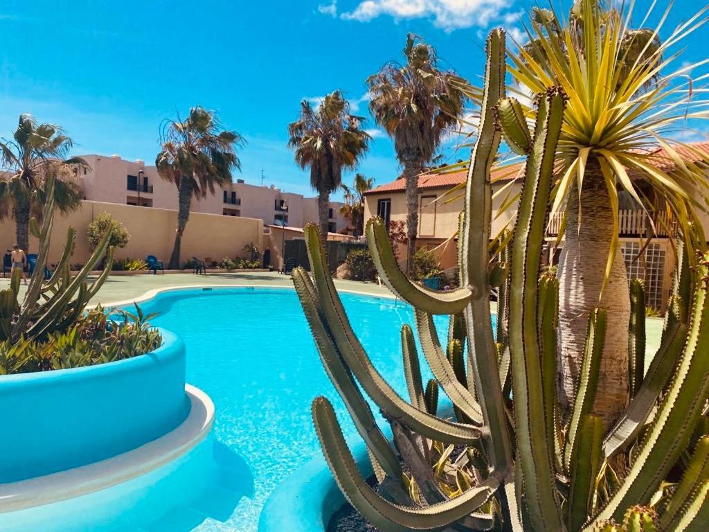 Surf And Chill Bungalow 70 Appartement Parque Holandes Buitenkant foto