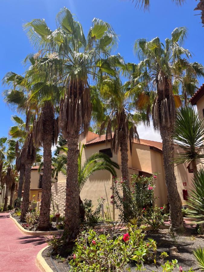 Surf And Chill Bungalow 70 Appartement Parque Holandes Buitenkant foto