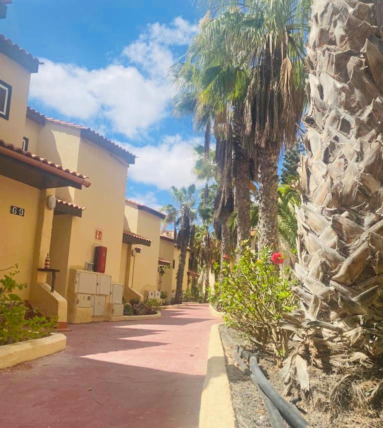 Surf And Chill Bungalow 70 Appartement Parque Holandes Buitenkant foto